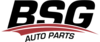 BSG logo